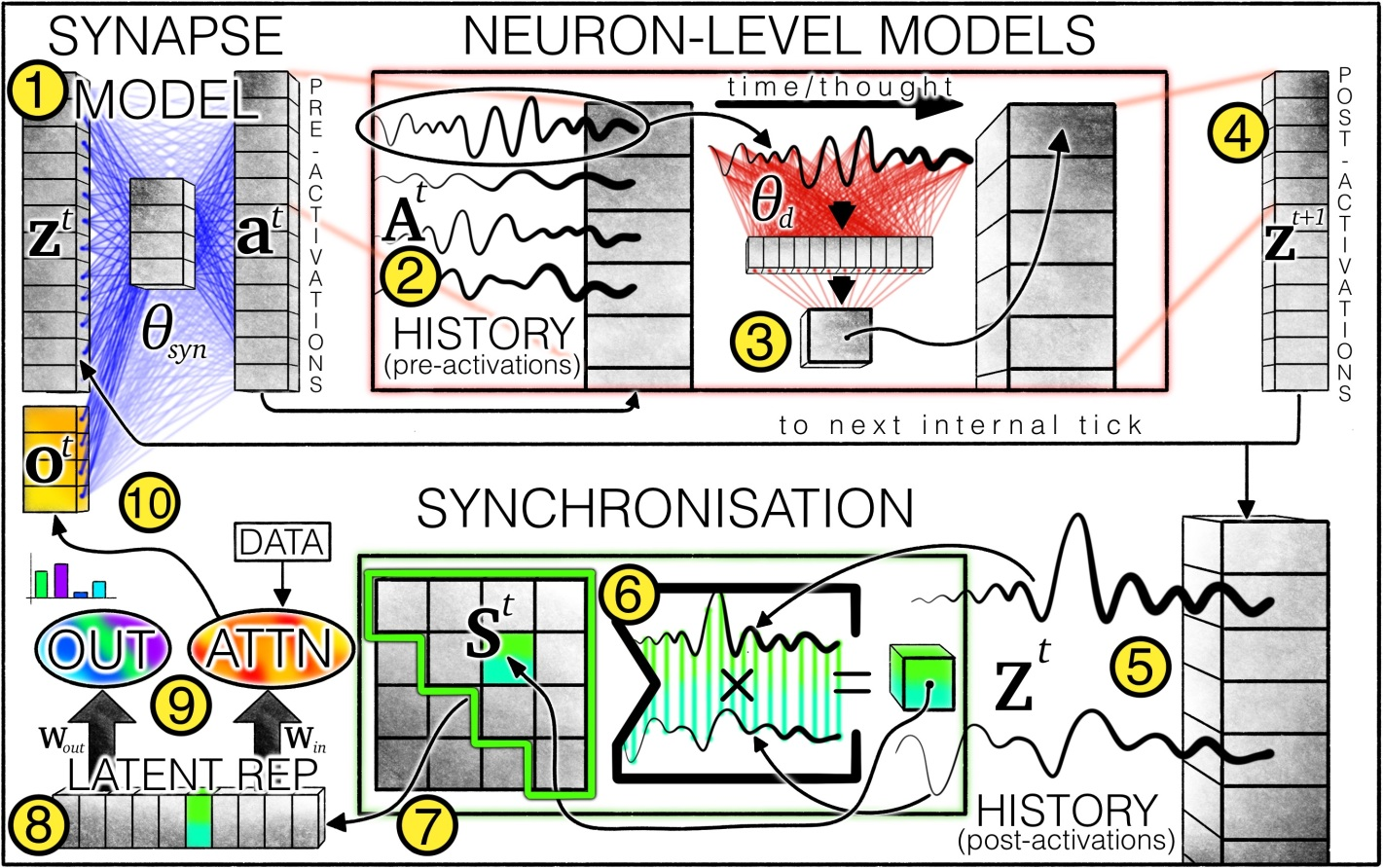 Continuous Thought Machine architecture