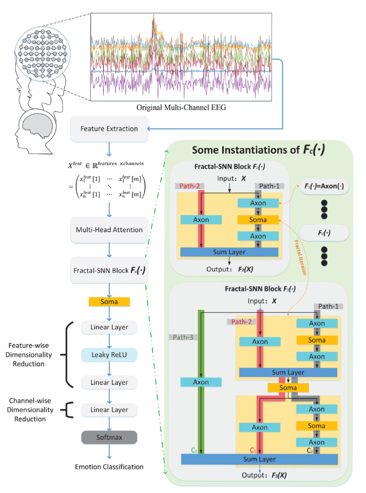 Fractal-SNN architecture
